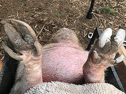 Pig Hoof Trimmers, Basic Mobile Set, 20V Battery Not Included
