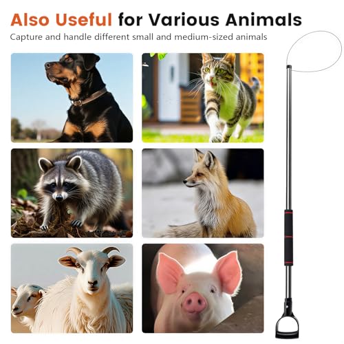 Animal Catch Pole Control Tool – 60"-92" Adjustable Noose Pole Animal Control Kit for Dogs, Feral Cats & Medium Wildlife Handling with Safety Accessories