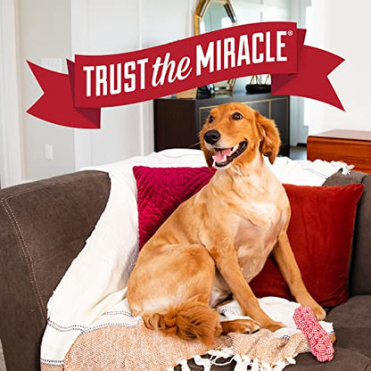 Nature's Miracle Advanced Platinum No More Marking,24 Ounces,Helps Discourage Repetitive Pet Marking,(Pack of 2) - size: 24 Fl Oz (Pack of 2)