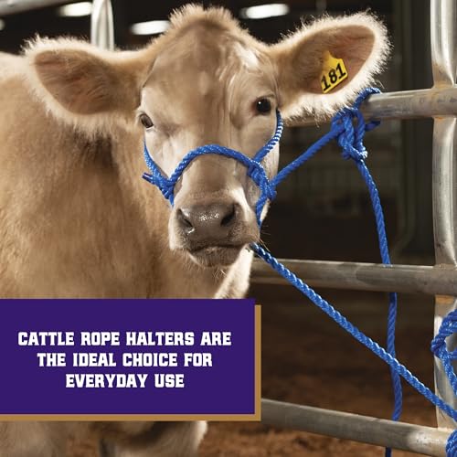 Weaver Livestock Braided Poly Rope Cattle Halter, Adjustable, Modern Style Cow Calf Halter, Livestock Handling Equipment for Showing, Blue - color: Blue, size: One Size