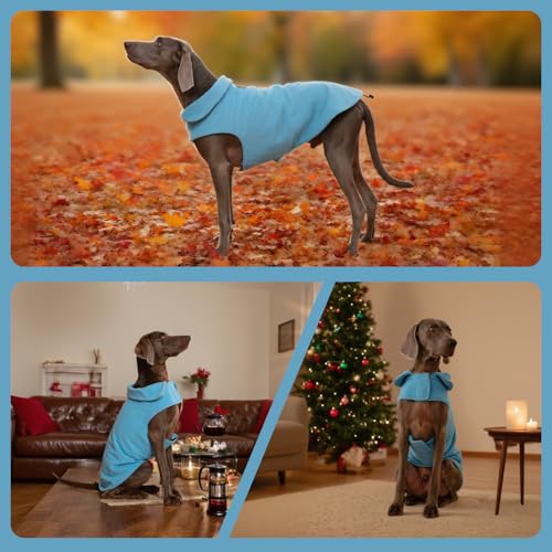 DENTRUN Reversible Dog Winter Coat, Windproof Polar Fleece Reflective Vest - color: Blue, size: Medium