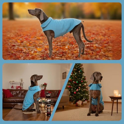 DENTRUN Reversible Dog Winter Coat, Windproof Polar Fleece Reflective Vest - color: Blue, size: Medium