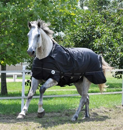 Jeffers Equine Supreme Plus Horse Turnout Blanket, Black, 78" – Medium Weight 1680D Waterproof, 240g Insulation, Safe, Breathable, Weather Protection - Adjustable Surcingle Straps, Reflective Trim - size: 78 in