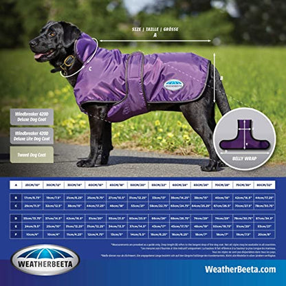 WeatherBeeta ComFiTec Windbreaker 420D Deluxe Dog Coat, Navy/Grey, 16" - color: Navy/Grey, size: 16"