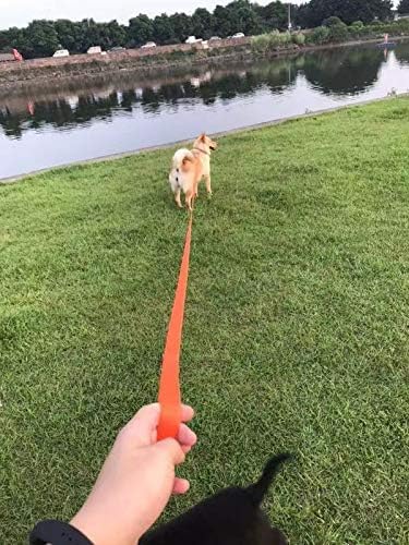 AMAGOOD Dog/Puppy Obedience Recall Training Agility Lead-15 ft 20 ft 30 ft 50 ft Long Leash-for Dog Training,Tie Out,Play,Safety,Camping (15Feet x 1Inch, Blue) - color: Blue, size: 1 Inch x 15 Feet