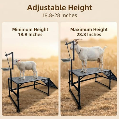 Heavy-Duty Non-Slip Ramp Goat Milking Stand, Height Adjustable Range 18.8–28.8"，600LBS Metal Livestock Trimming Stand with Feed Bin，Goat Stand Ramp Use for Goats ，Lambs & Sheep Trimming Grooming Stand