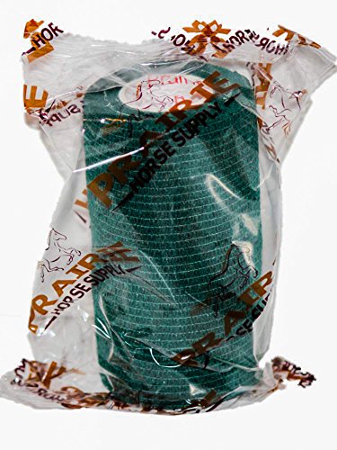 2 Inch Self Adhesive Bandage Wrap & Athletic Tape - 6Pk, Hunter Green - color: Hunter Green, size: 6 Rolls