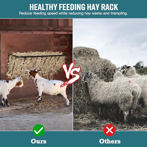 Wall Mount Steel Horse Hay Feeder Rack, 20 Gallon, 35.5 Inch Long | Heavy Duty Steel Wall Mounted Hay Feeder Rack, Goat Hay Feeder Suitable for Horses and Sheep, Perfect for Stable & Farm Use