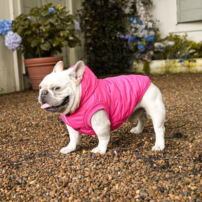 Vecomfy Warm Dog Coats with Hoodie,Winter Dog Jackets for Small Dogs - color: Pink, size: Medium