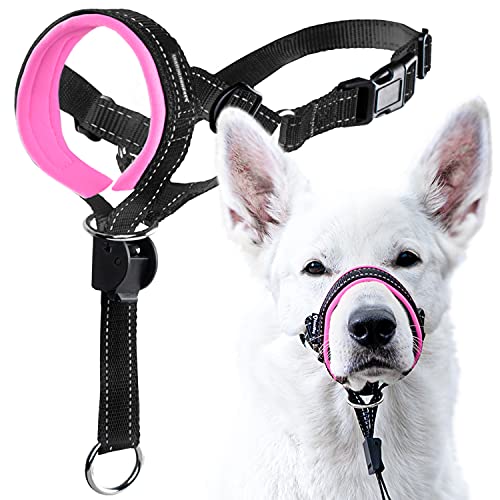 GoodBoy Dog Head Halter with Safety Strap - Stops Heavy Pulling On The Leash - Padded Headcollar for Small Medium and Large Dog Sizes - Head Collar Training Guide Included (Size 2, Pink) - color: Black Nylon / Pink Padding, size: Size 2 (Pack of 1)