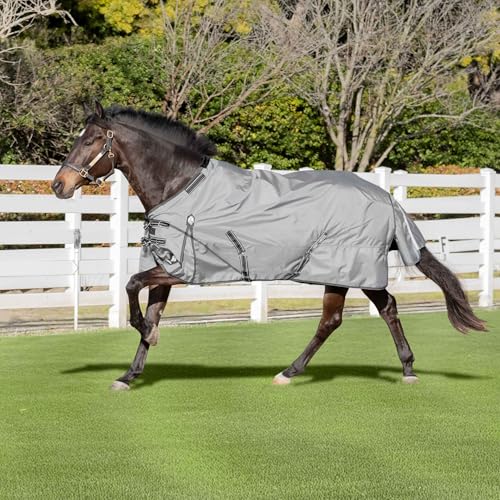 Equinavia Arktis Regular Neck Turnout Sheet - Carbon Gray - 81 in - color: Carbon Gray, size: 81 in