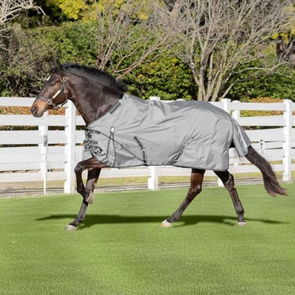 Equinavia Arktis Regular Neck Turnout Sheet - Carbon Gray - 81 in - color: Carbon Gray, size: 81 in
