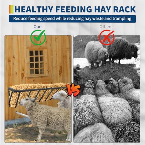 Wall Mounted Hay Feeder & Blanket Holder, 63" Heavy Duty Steel Hay Rack for Horse Stall, Goat Shed, Sheep Barn, 67 Gallons Large Capacity Feeder Organizer for Feeding and Storage - size: 63 inch