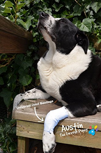 Pawflex Bandages Universal Joint Bandages for Pets (Pack of 4) Large - size: Large/XLarge