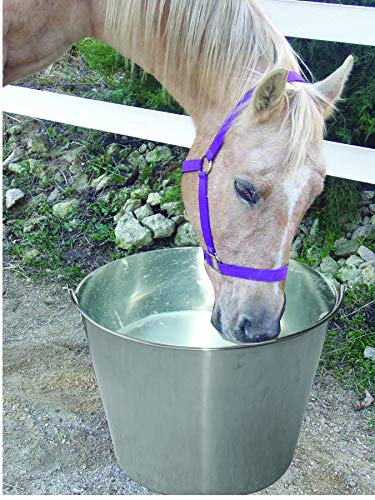 Little Giant® Stainless Steel Dairy Pail | Galvanized Metal Utility Bucket with Handle for Gardening & Farming | Cow Pail | 20 Quart - size: 20 Quart