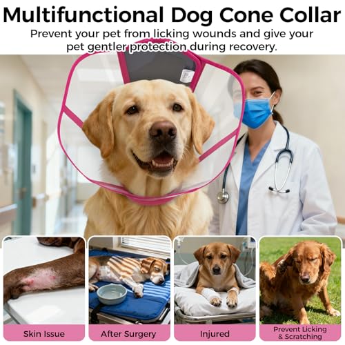 Adjustable Dog Cone Collar for Recovery - color: Rose Red, size: Small