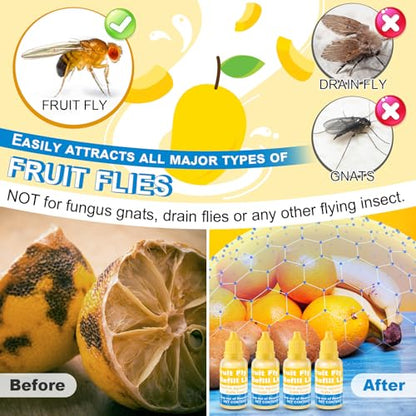 Qualirey 6 Pack Fruit Fly Trap Refill Liquid, 0.68oz Per Bottle,Yellow | Liquid Fruit Fly Traps for Indoors, Non Toxic Bait Safe Near Pets, Food and Kids, Lure Refill for Home Kitchen - color: Yellow