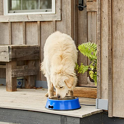 Farm Innovators Heated Pet Water Bowl, 40W Heated Water Dish - 3 Quart Stainless Steel Watering Station with Anti-Chew Cord Protector for Dogs & Cats | Thermostatically controlled to operate only when necessary, non-skid/non-tip rubber bottom, anti-chew c