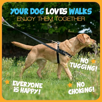 2 Hounds Design Freedom No Pull Dog Harness and Leash, 1" XXL, Hot Pink - color: Hot Pink, size: XXL (Chest 38" - 44")