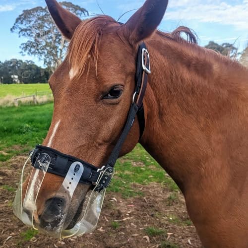 ThinLine Flexible Filly Grazing Muzzle | Lightweight Safe Comfortable Ventilated Equine Slow Feed Halter Mounting Clear Horse Mask, Oversize/Draft, 3.5+cm Hole