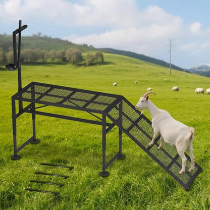 Adjustable Goat Milking Stand – Heavy Duty Steel Grooming & Trimming Platform with Ramp for Sheep & Goats – Livestock Milking Station, Height 18.5 to 28.8 Inches