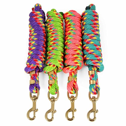 Jeffers Neon Poly Horse Lead Rope with Brass Bolt Snap, 8' - Spiral Pink - color: Pink with Spiral Pattern, size: 5/8inch x 8inch