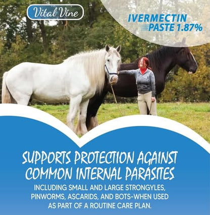 VITALVINE Ivermectin 1.87% Paste for Horses – Apple Flavor 6.08g Syringe, Treats Horses Up to 1250 lbs (3-Pack)