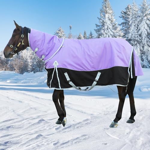 2025 Upgrade 1200D Horse Blanket Winter,220-Gram Polyester Filling 1200D Premium Horse Turnout Blanket,Horse Rug Medium Weight Blanket 81 inches - color: Purple, size: US81 in(EU155 cm)