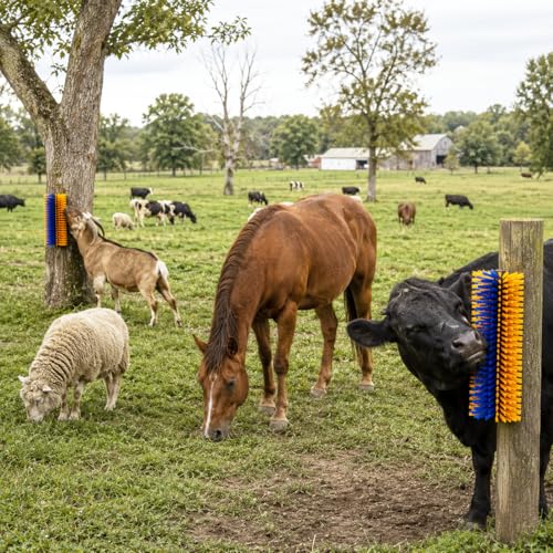 Livestock Scratching Brush 2 Pack, Horse Goat Brush Heavy Duty Scratcher Supplies with Stainless Steel Curry Comb for Barn Pasture Horse, Goat, Cattle, Pig Massage Grooming Itch Relief -17.35×7.5 In