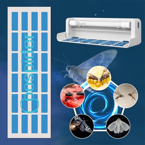 10 PCS Sticky Boards Commercial Fruit Fly Zapper Trap Indoor for Restaurant - style: 10 PCS Sticky Boards