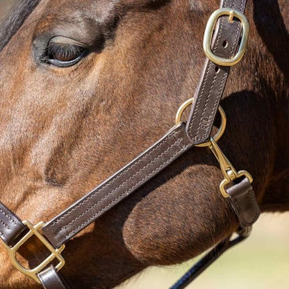 Jeffers Versailles Triple Stitched Leather Horse Halter with Double Buckle Crown & Throat Snap, Adjustable Premium Leather - size: Oversize