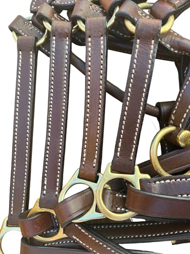 Leaders 3/4" Leather Halter for Horses with Customized Engraved Name Plate Brown Leather with Solid Brass Hardware - size: Pony