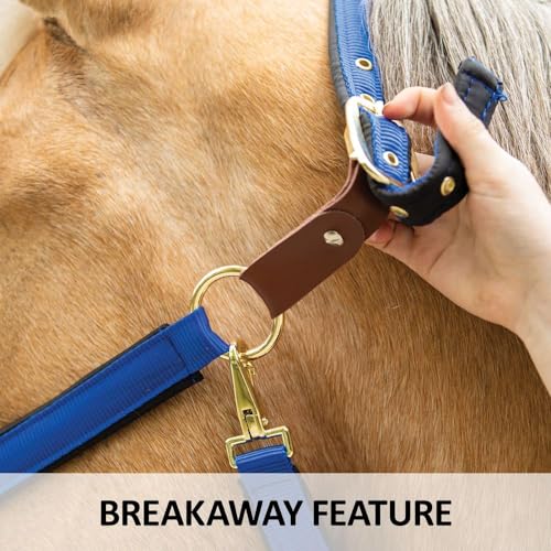 Dura-Tech Deluxe Fully Padded Breakaway Horse Halter | 1” Double Ply Nylon Web Overlay | Heavy-Duty Hardware | Semi Custom Fit | 3-Point Cheek Attachment - color: Black, size: Oversize