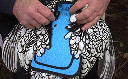 DOWN UNDER OUTDOORS Medium-Large Chicken Saddle Hen Apron Saver (Blue) - color: Blue
