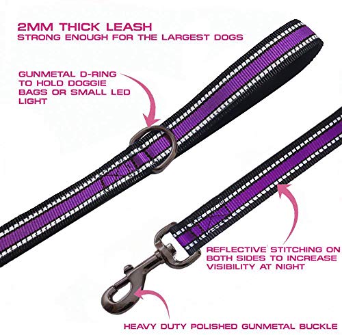 JSXD Heavy Duty Double Handle Dog Leash - 5 FT with Comfortable Padded and Reflective Rope, for Small to Large Dogs (Wide-Purple) - color: Wide-Purple
