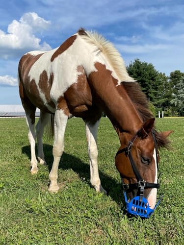 GREENGUARD Premium Breakaway Safety Halter with Padded Nose and Crown