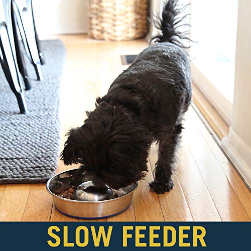 OurPets DuraPet Slow Feed Premium Stainless Steel Dog Bowl, Silver, Small (2040010300) - size: Small (2 Cups)