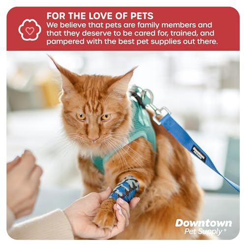 Downtown Pet Supply Cohesive Vet Wrap for Dogs, Self Adhesive Bandages in Bulk, Pet Cat Wound Care, Gauss Bandage for Horses (Variety, Pack of 10)