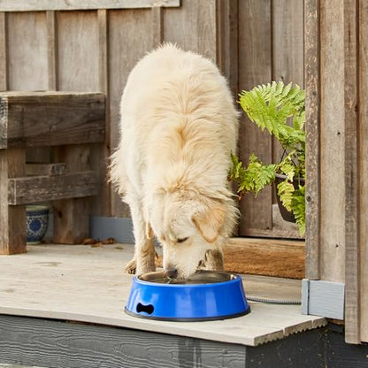 Farm Innovators SB-60 Signature Series 5.5 Quart Electric Heated Pet Water Bowl with Stainless Steel Insert, Thermostatic Control, 60 Watt | Durable Watering Station with Anti-Chew Cord Protector for Dogs and Cats, Supporting Reliable Winter Hydration
