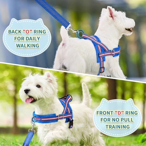 SlowTon No Pull Small Dog Harness and Leash Set with Front Clip | Soft Padded, Neck & Chest Adjustable, Lightweight, Anti-Twist, Puppy Vest Harness Pet Lead Combo for Small Medium Dog DBL XXS - color: Dark Blue, size: XX-Small