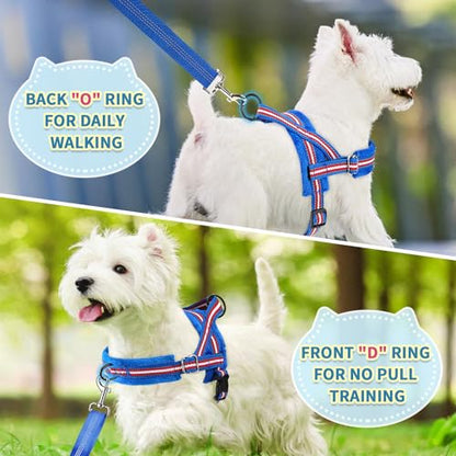 SlowTon No Pull Small Dog Harness and Leash Set with Front Clip | Soft Padded, Neck & Chest Adjustable, Lightweight, Anti-Twist, Puppy Vest Harness Pet Lead Combo for Small Medium Dog, DBL XS - color: Dark Blue, size: X-Small