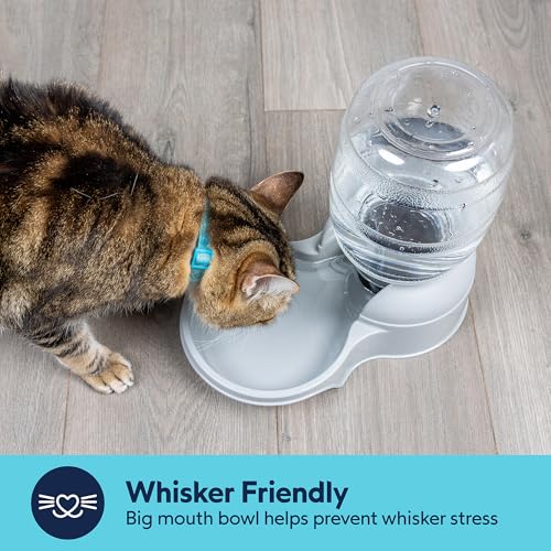 Aspen Pet Lebistro Cat and Dog Water Dispenser, Made in USA - color: Gray, size: Extra -Small