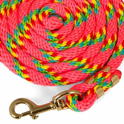 Jeffers Neon Poly Horse Lead Rope with Brass Bolt Snap, 8' - Spiral Pink - color: Pink with Spiral Pattern, size: 5/8inch x 8inch