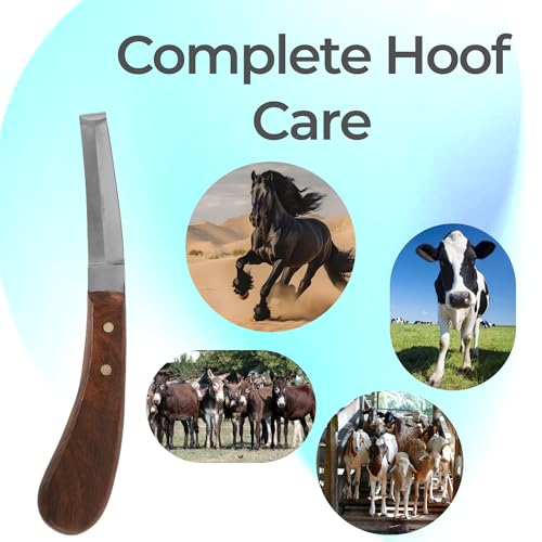 Hoof Knife Double Edged Curved Blade – Stainless Steel Curved Blade Farrier Tool with Wooden Handle, Multipurpose Hoof Trimming Knife for Livestock, 3-Inch Blade, 8.5-Inch Overall (Left Hand) - style: Double Edge - LH