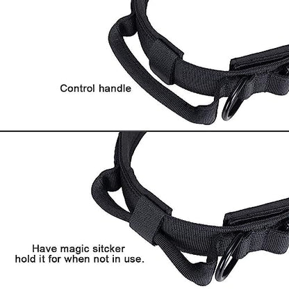EXCELLENT ELITE SPANKER Tactical Nylon Dog Collar Military Metal Buckle | Adjustable Training Padded Durable Dog Collar Heavy Duty with Control Handle & Patches for Medium and Large Dogs Easy Wear - color: Black, size: M-(14''-18")