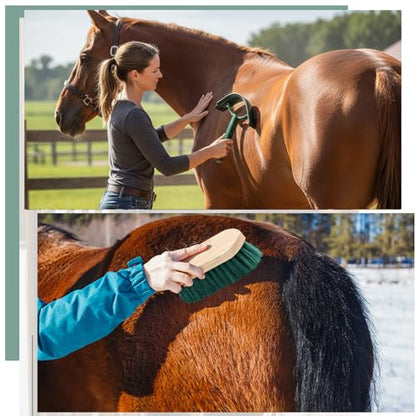 Abbylike 12 Pieces Horse Grooming Kit Racing Festival Tack Room Supplies Horse Brush Sets Equine Care Cleaning Kit Shedding Grooming Massaging Tools (Khaki and Green) - color: Khaki and Green