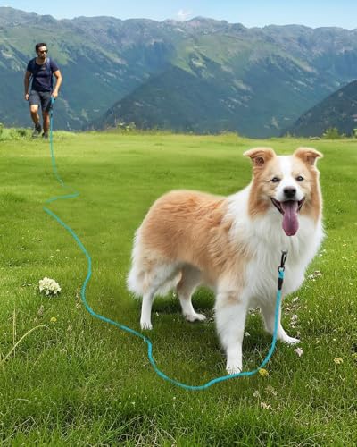 Joytale Long Dog Leash for Yard Tie Out & Recall Training, Blue, 30FT - color: Blue, size: 30FT