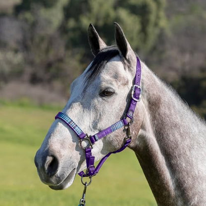 Kensington - color: Purple w/Lavender Mint, size: Large
