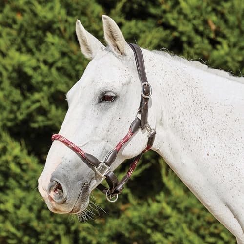 Kincade Leather Rope Halter, Burgundy/Brown, Warmblood - color: Burgundy/Brown, size: Warmblood