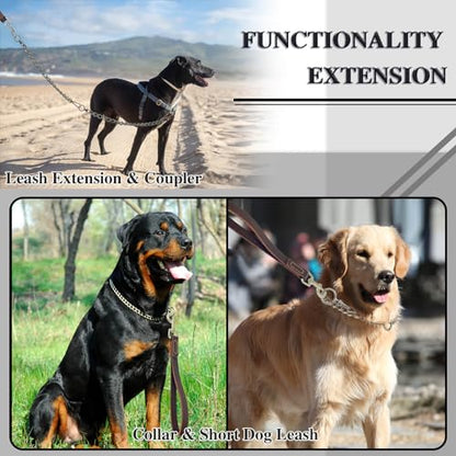 Dog Chain Leash 304 Stainless Steel - Heavy Duty Metal Short Lead with Extension & Coupler (20in x 2.5mm) - size: 304 S/S 20in x 2.5mm